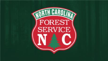 Group Banner Picture